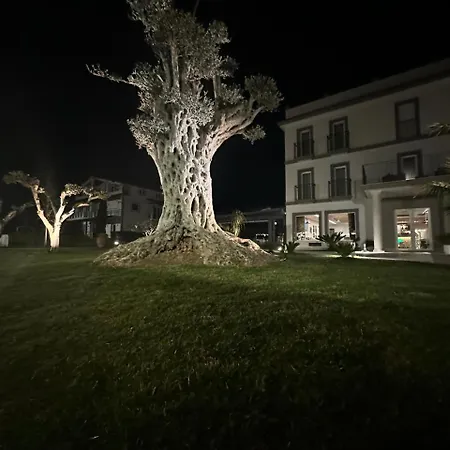 Evergreen Laguna Vain-lezhe Lezhë